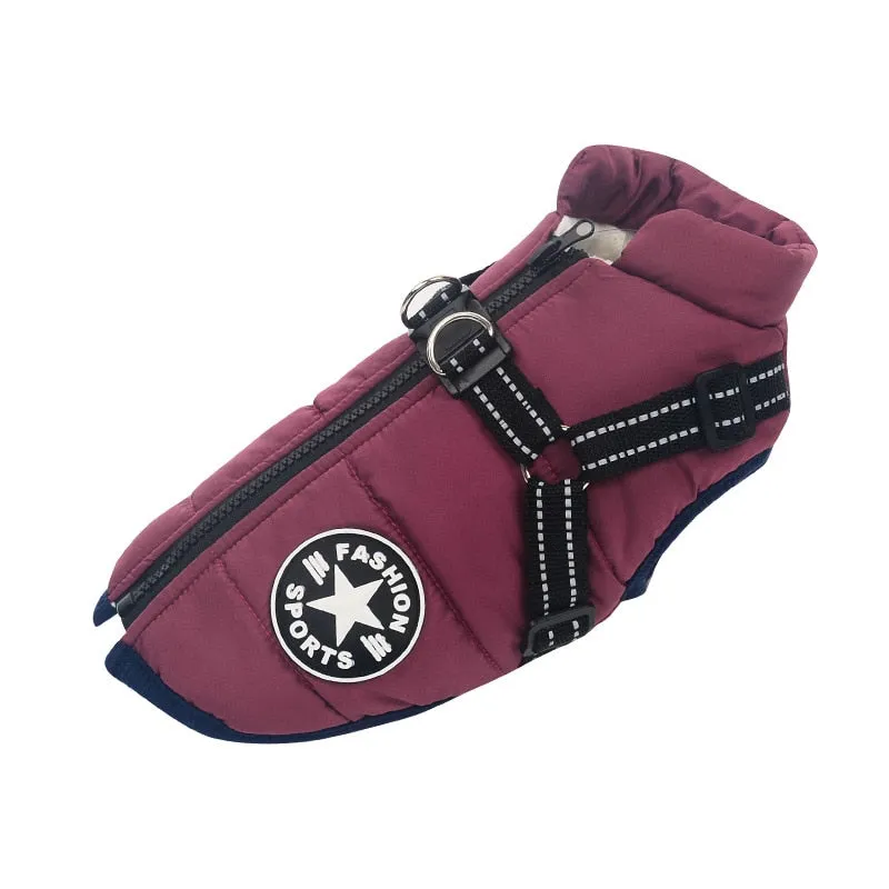 Pet's Waterproof Winter Jacket