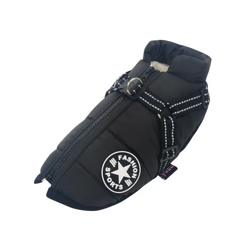 Pet's Waterproof Winter Jacket