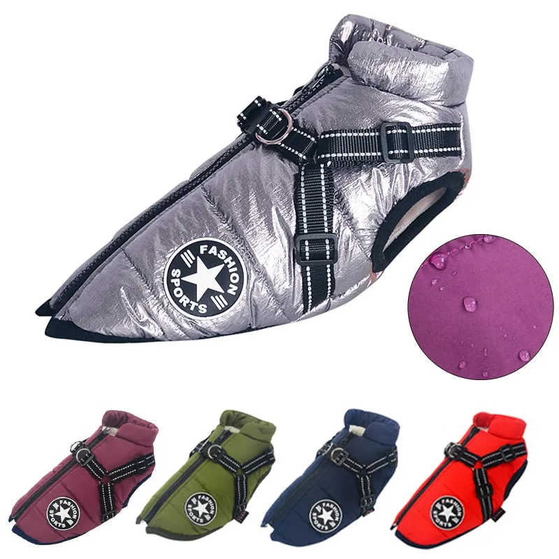 Pet's Waterproof Winter Jacket